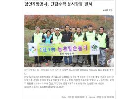 단감수확 봉사활동