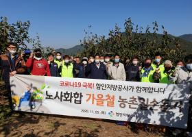 2020년 가을철 농촌일손돕기 실시